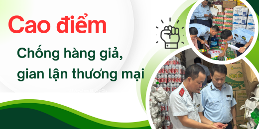 Kế hoạch thực hiện cao điểm chống buôn lậu, gian lận thương mại và hàng giả dịp trước, trong và sau tết Nguyên đán Bính Ngọ 2026